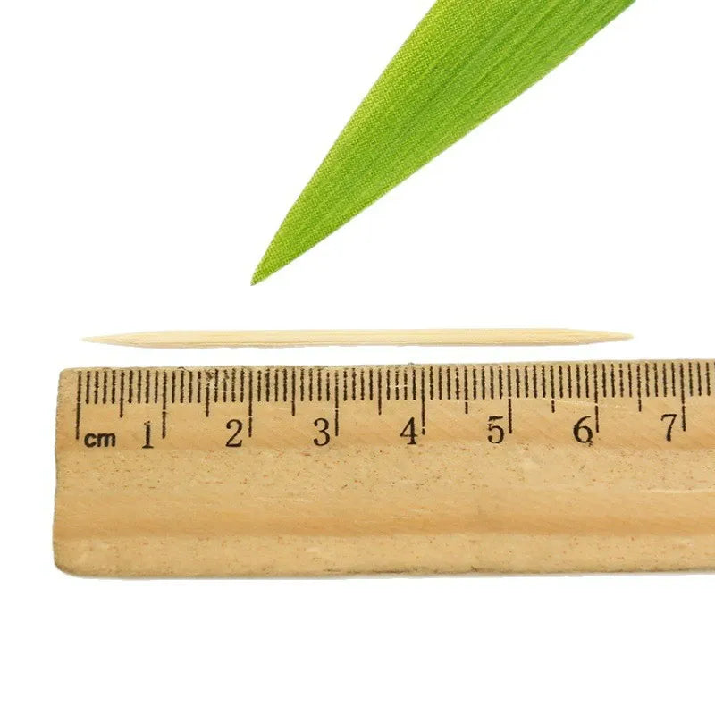 Bottled bamboo toothpick single stick length measurement alongside ruler