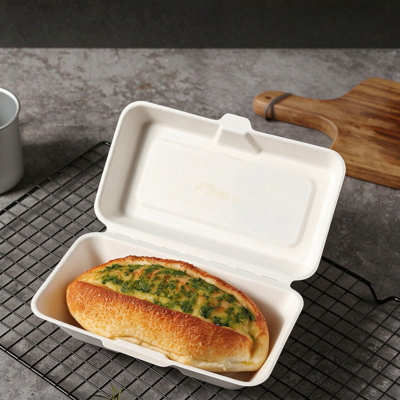 Bagasse clamshell box white finish with raised lid showing interior cavity