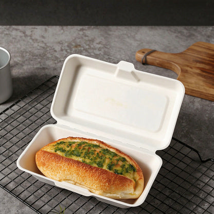 Bagasse clamshell box white finish with raised lid showing interior cavity