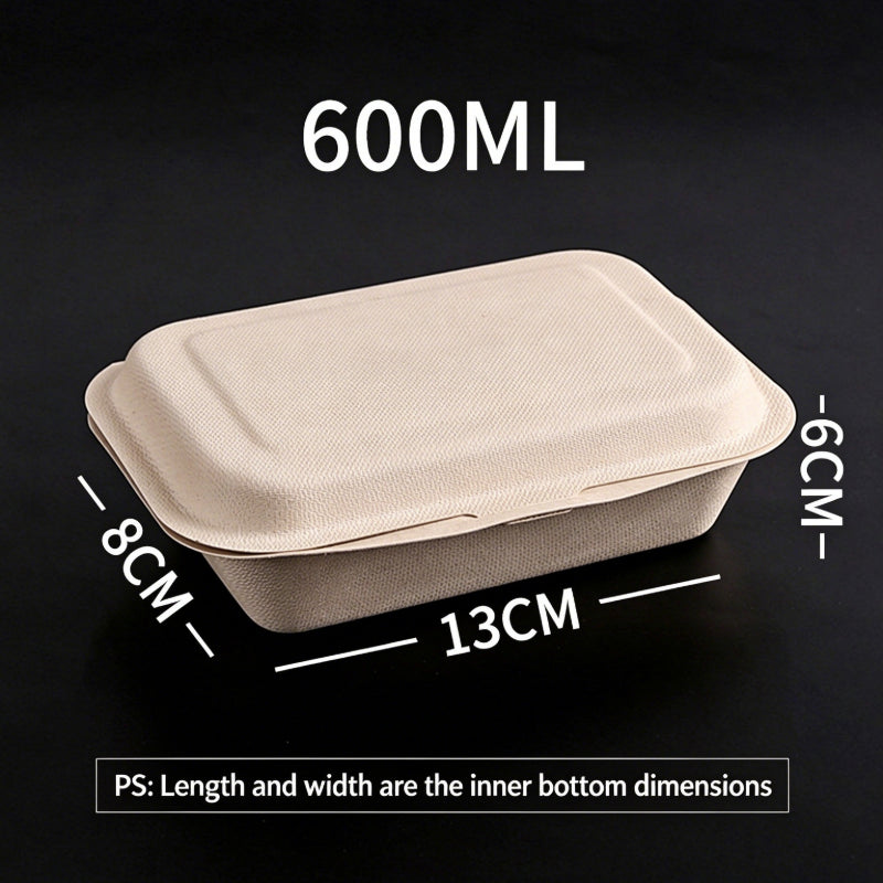 Biodegradable pulp clamshell box 600 ml natural food container with dimensions