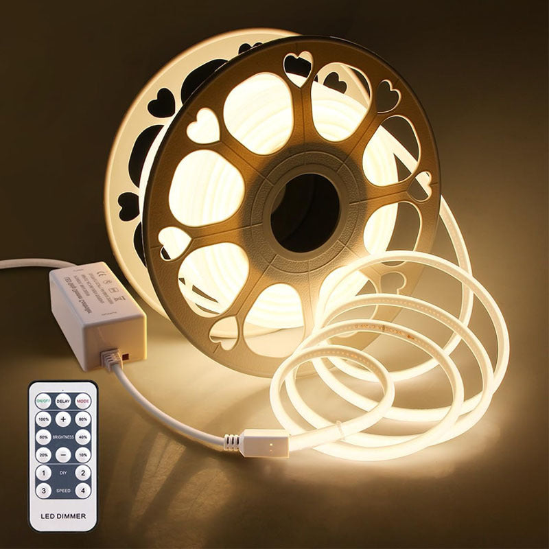 COB LED strip light warm white spool with remote control