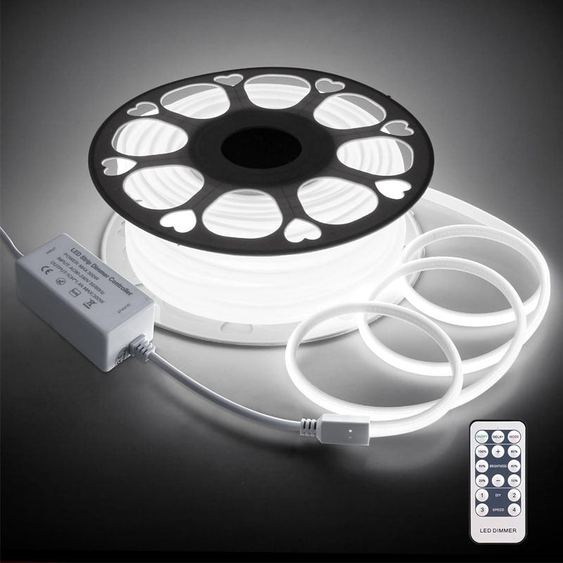 COB LED strip light cool white spool with remote control