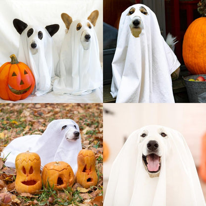 👻 Pet Ghost Costume Cloak | Halloween Dog Cape | Small/Medium Dog Cosplay