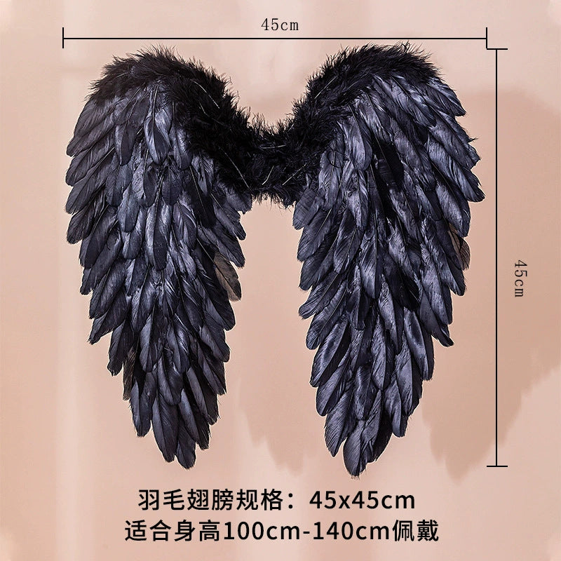 Feather angel wings black 45x45cm size display