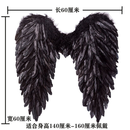 Feather angel wings black 60x60cm size display