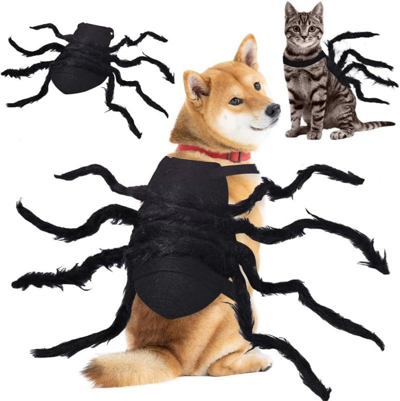 Halloween Pet Spider Costume | Dog Cat Dress Up with 8 Legs | Creepy Crawly Outfit (Black/Pink‑Black/Green‑Black/Blue‑Black/Orange‑Black/Purple‑Black, Small/Large)