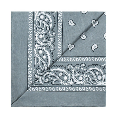 Light gray vintage paisley bandana with white western pattern print