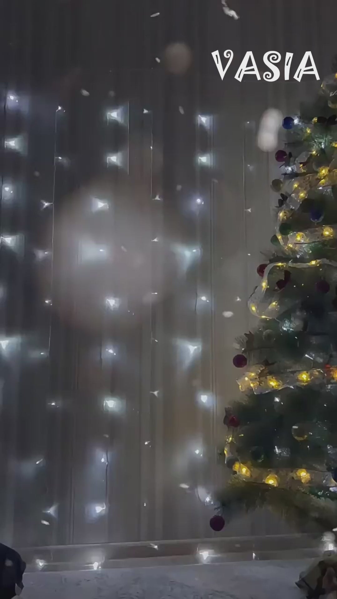 Video showing flower-shaped LED string lights