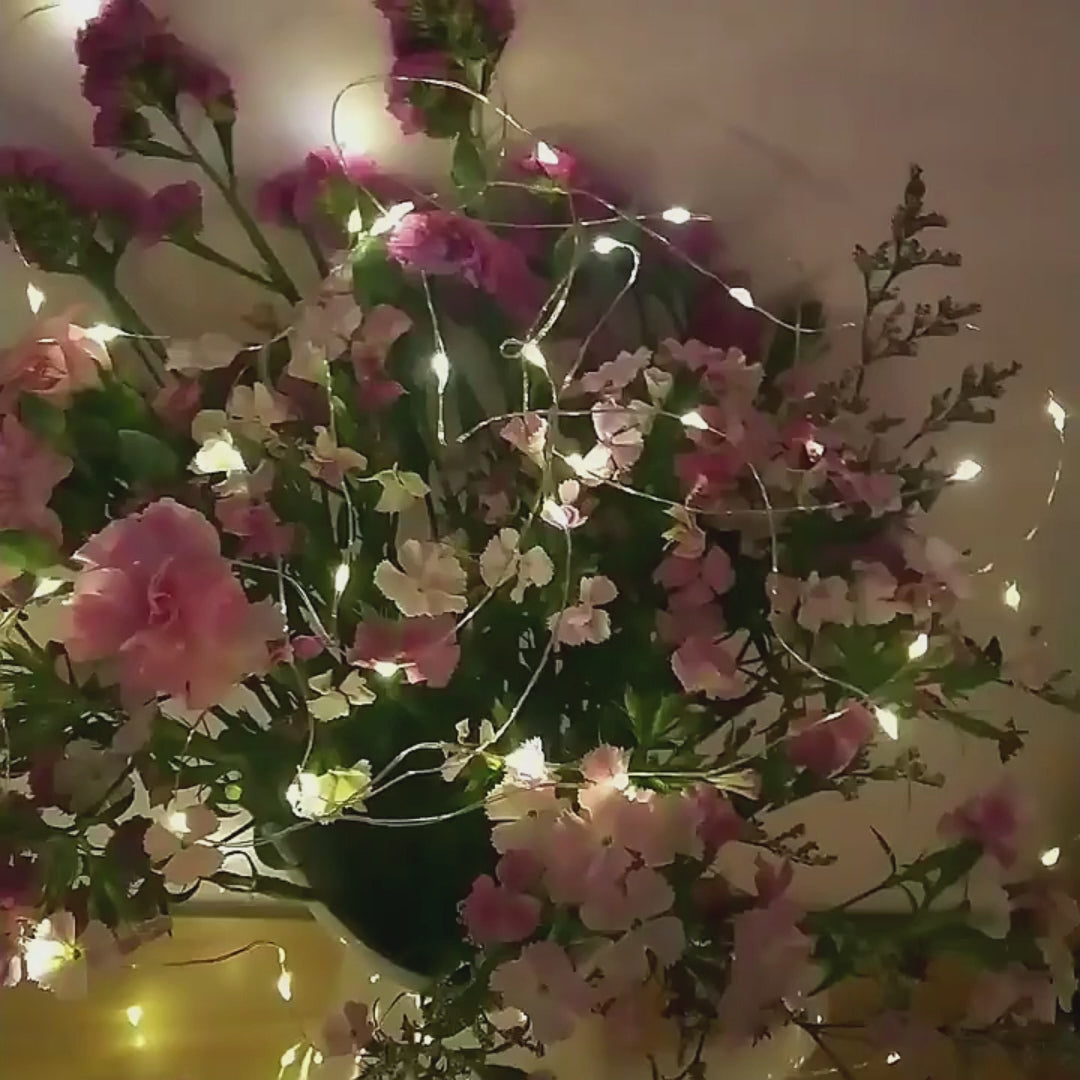 Video showing LED copper wire string lights illuminated